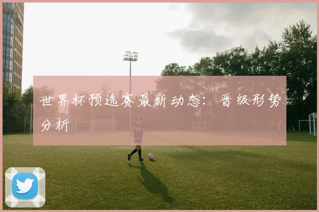 世界杯预选赛最新动态：晋级形势分析
